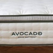 Avocado Avocado