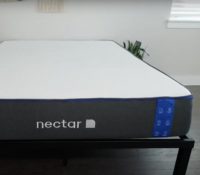Nectar Nectar