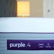 Purple Hybrid Premier Purple Hybrid Premier