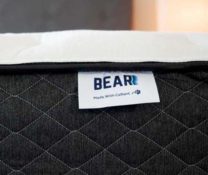 Bear Hybrid Bear Hybrid