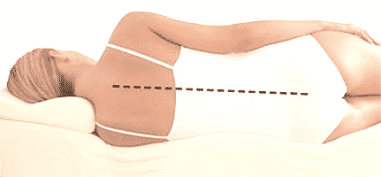 body weight and shape statistics