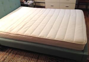 PlushBeds Botanical Bliss Review