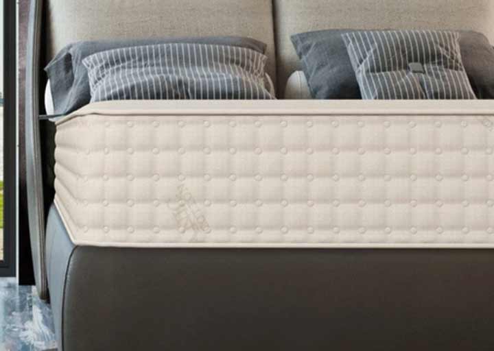 PlushBeds Mattress Review