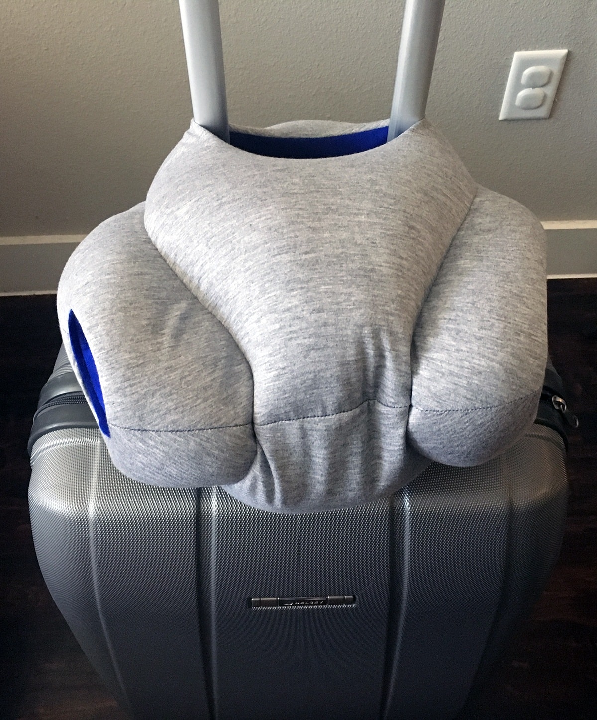 ostrich travel pillow