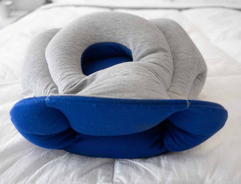 ostrich travel pillow