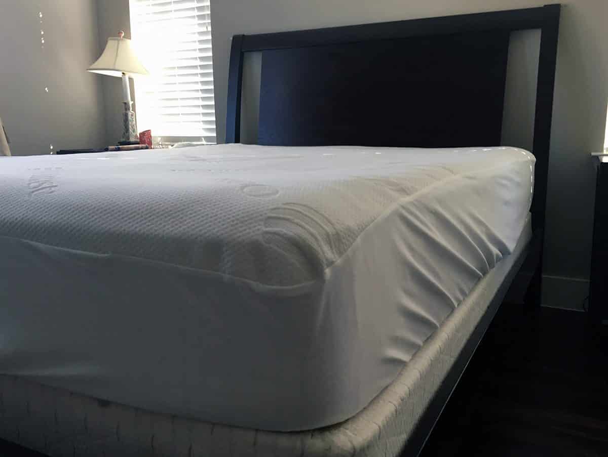 Slumber Cloud Dry Line Mattress Protector Review