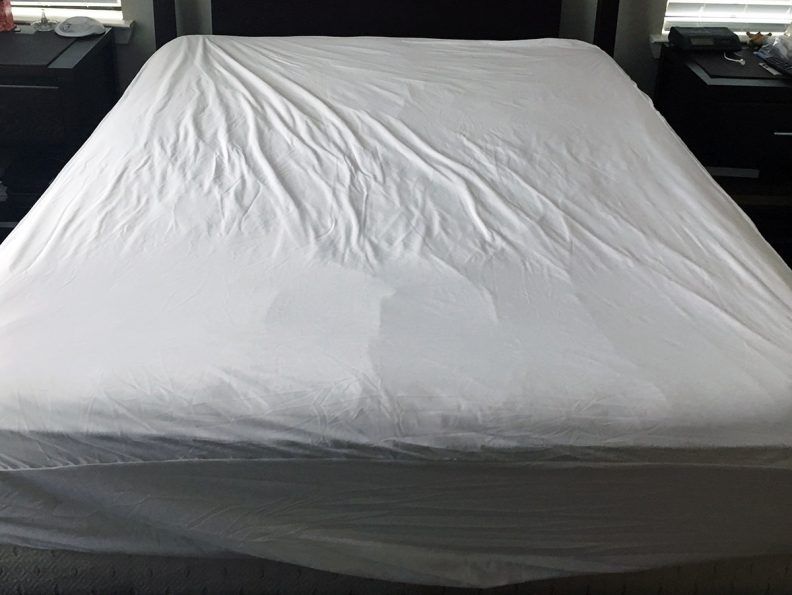 Mattress Protectors SafeRest vs Linenspa (2024) Mattress Clarity