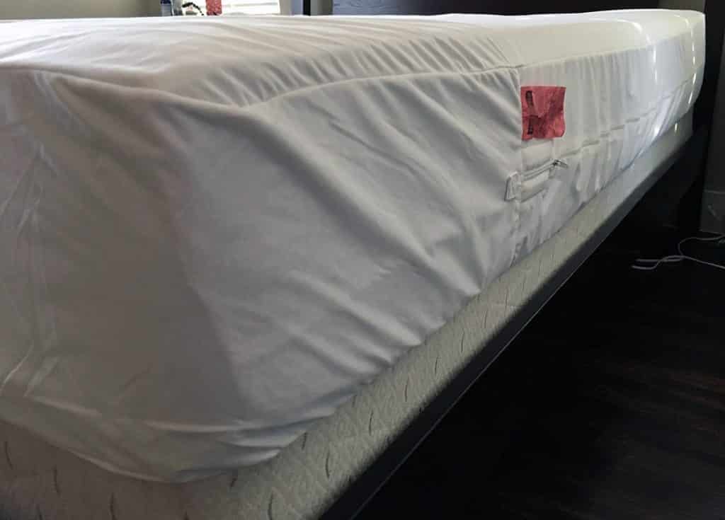 Protect A Bed AllerZip Smooth Mattress Protector Review Mattress
