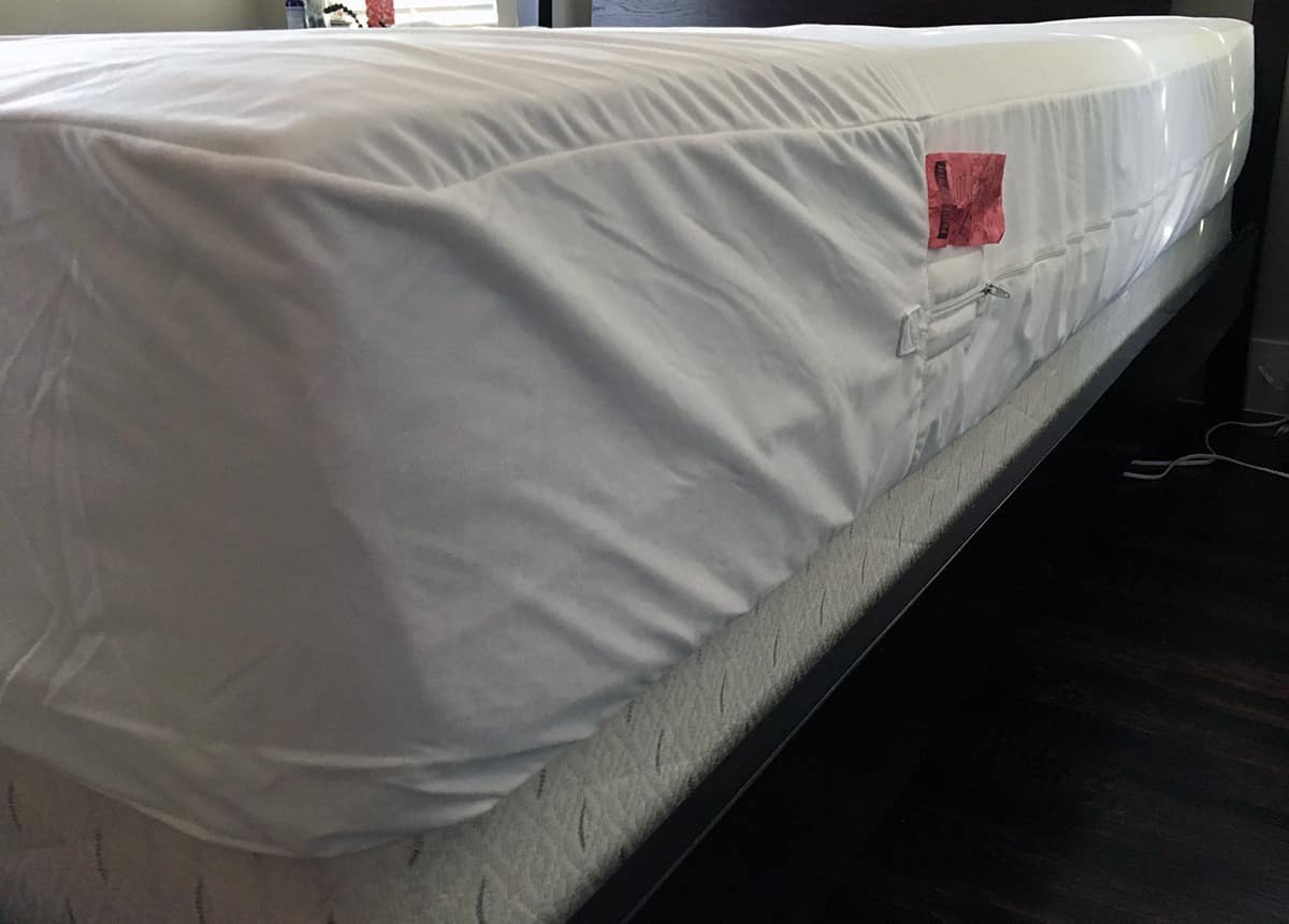 Protect-A-Bed AllerZip Smooth Mattress Protector Review