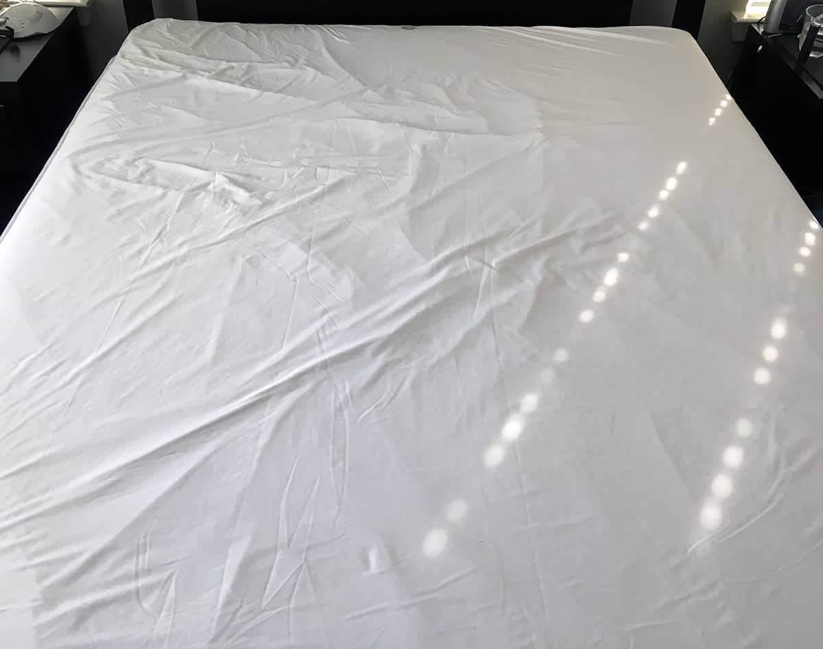 Protect-A-Bed AllerZip Smooth Mattress Protector