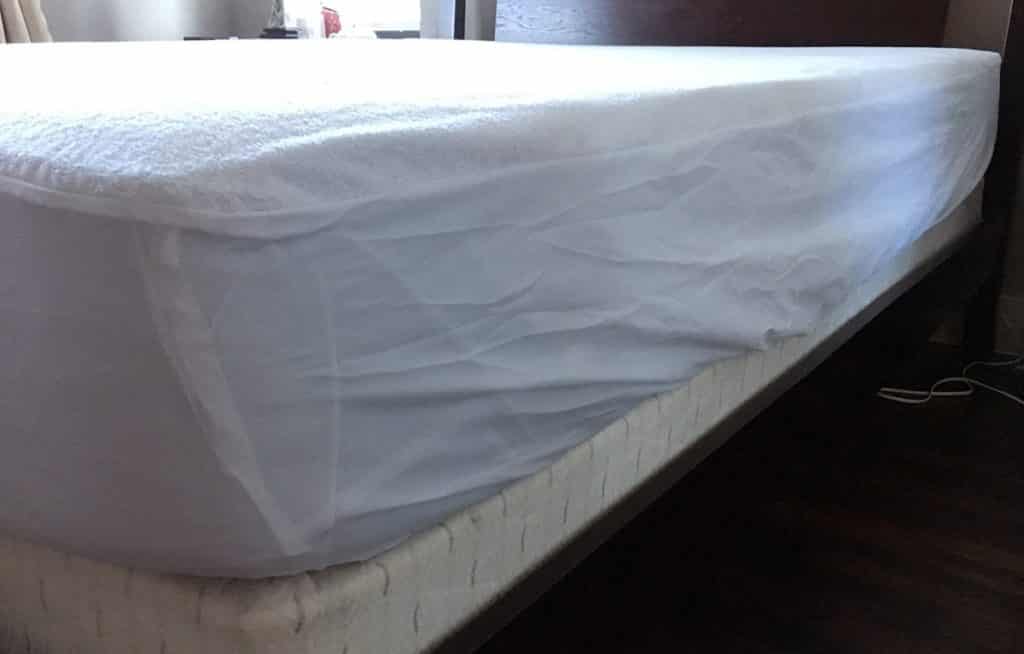 Mattress Protectors Sleep Tite Pr1me vs Luna (2024) Mattress Clarity