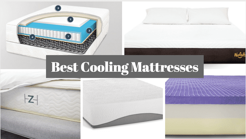 Best Cooling Mattress For Hot Sleepers See The Company You Are Looking At Has Directly Addressed This Issue With Construction Of Mattress Otherwise Might Be Risk Getting A