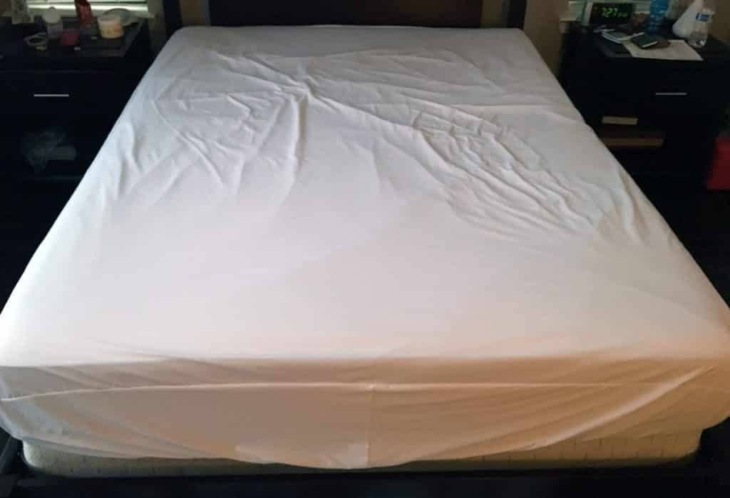 fabritech mattress protector reviews