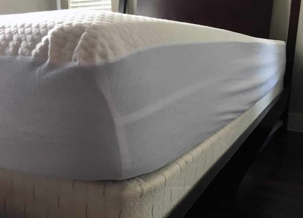 bear mattress protector cover