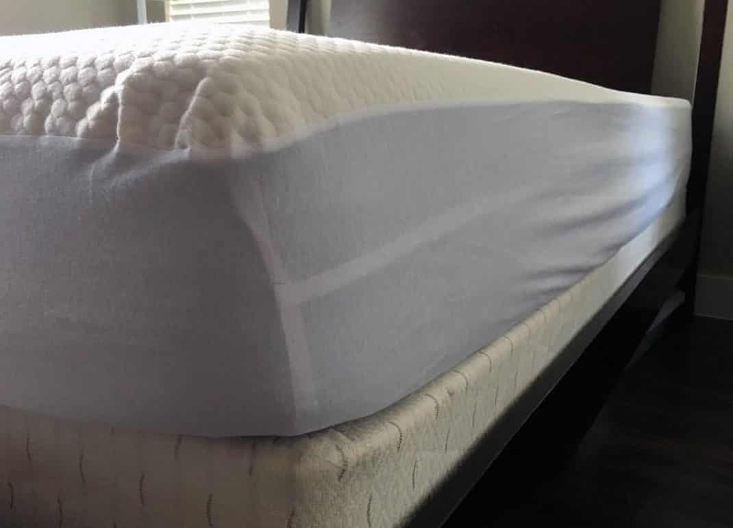 Bear Mattress Protector Review Mattress Clarity