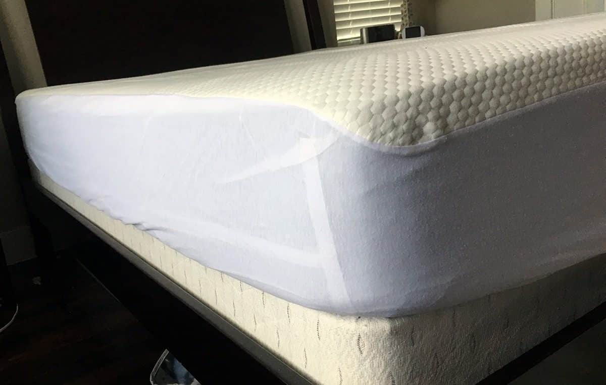 Bear Mattress Protector Review Bear Mattress Protector