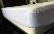 Bear Mattress Protector