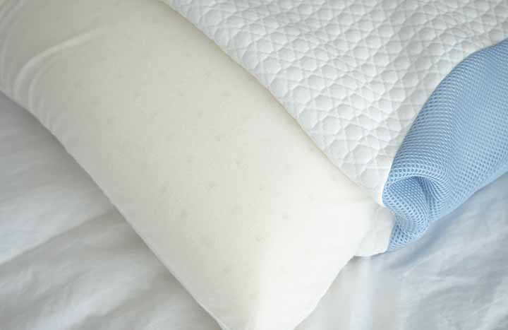 Bear Pillow Review - LOFT X foam core