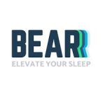 Bear Pillow Review