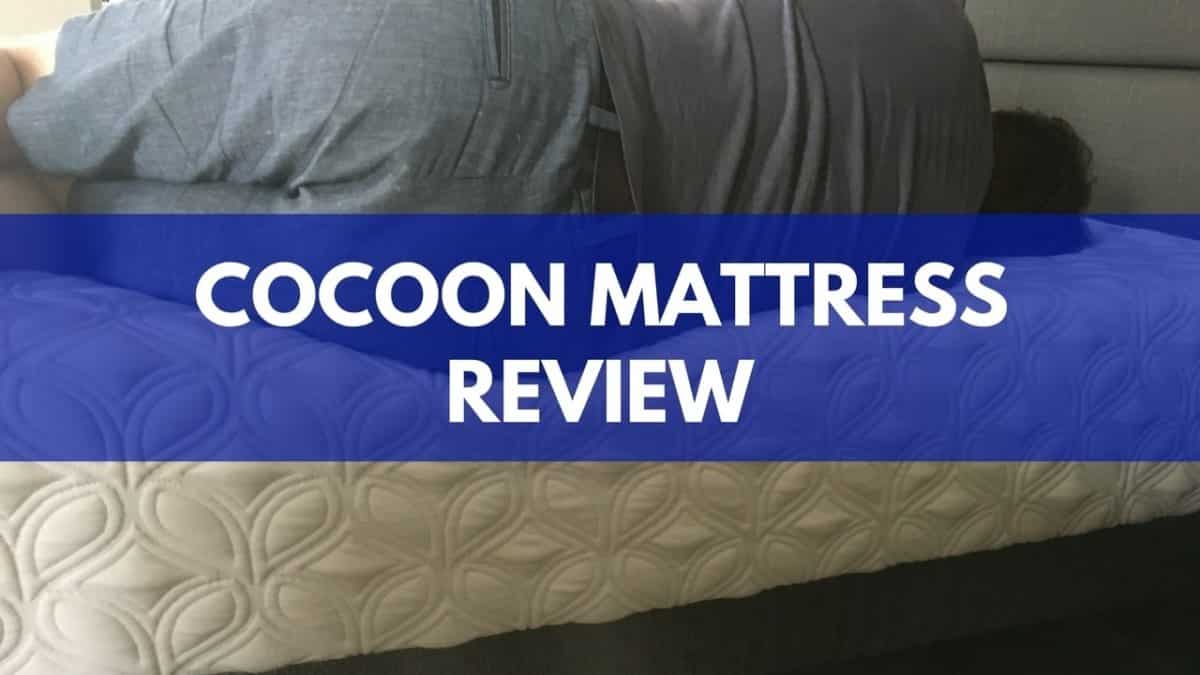 cocoon sealy hybrid