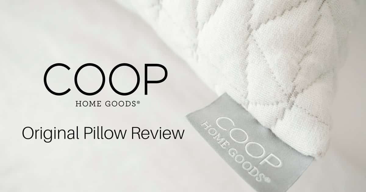 Coop Home Goods Original Loft Pillow King size, White