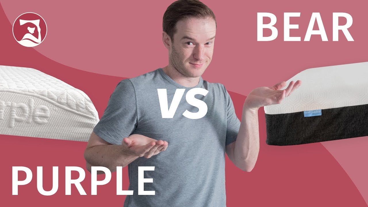 Purple Vs Bear Mattress Which Is Right For You? Mattress Clarity