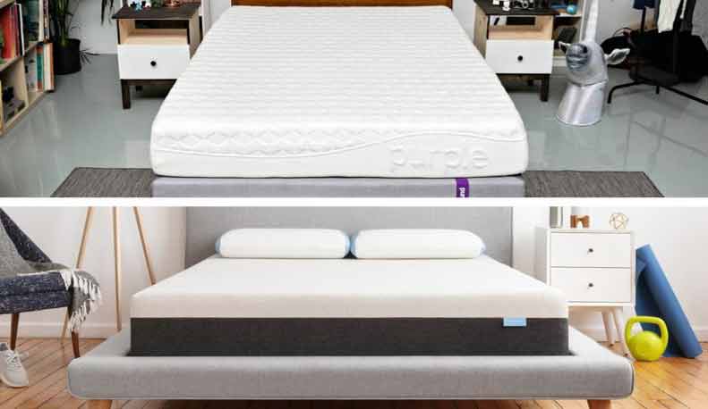 bear mattress vs purple mattress