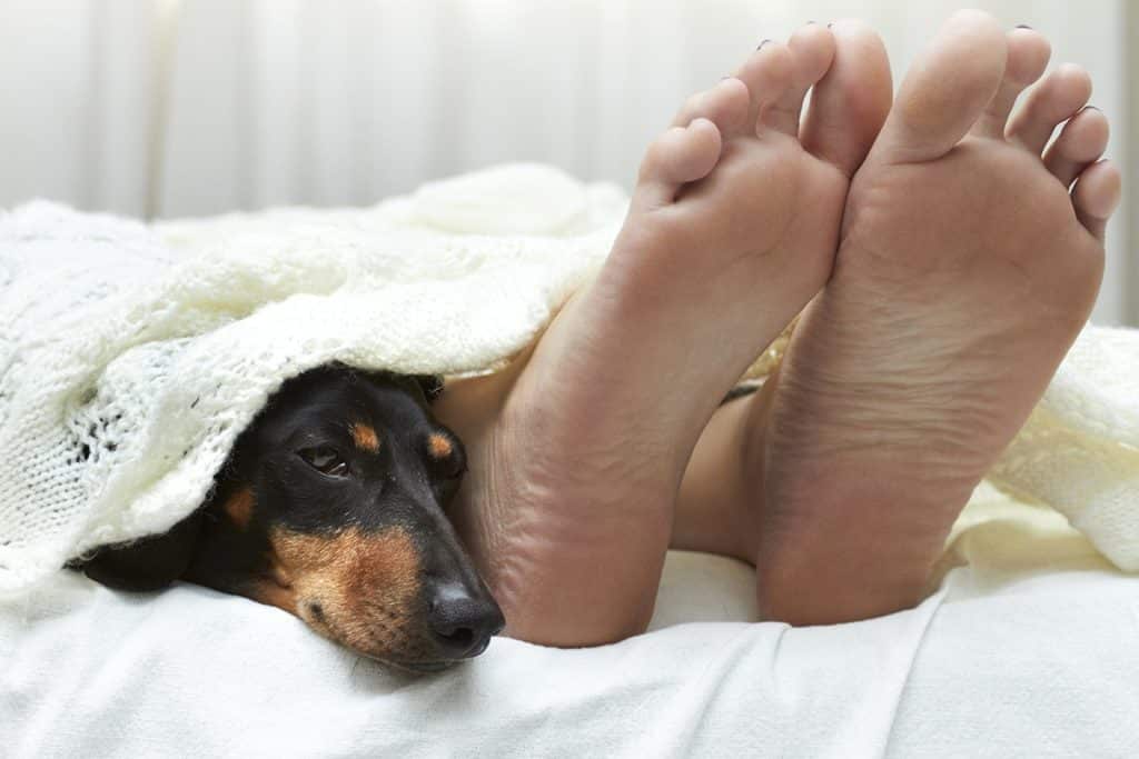 What's the Best Temperature to Sleep In? Mattress Clarity