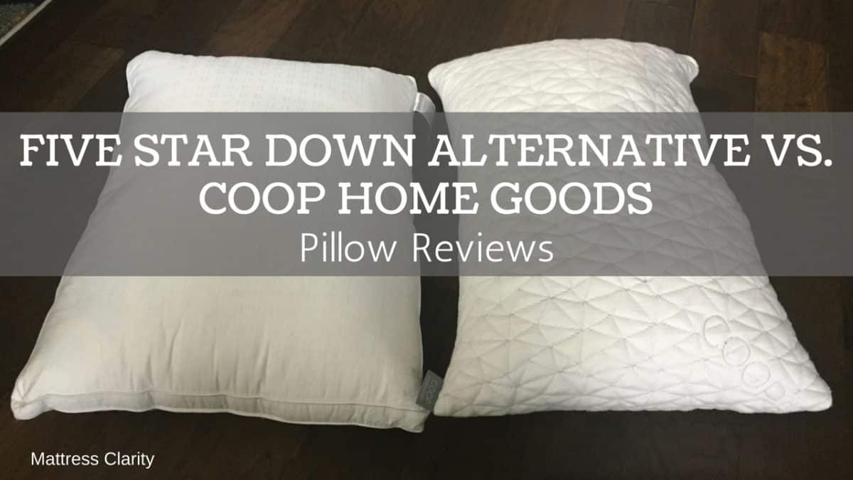 Coop Sleep Goods Body Pillow Review - A Body Pillow For Every Sleep  Position? (2023) - Mattress Clarity