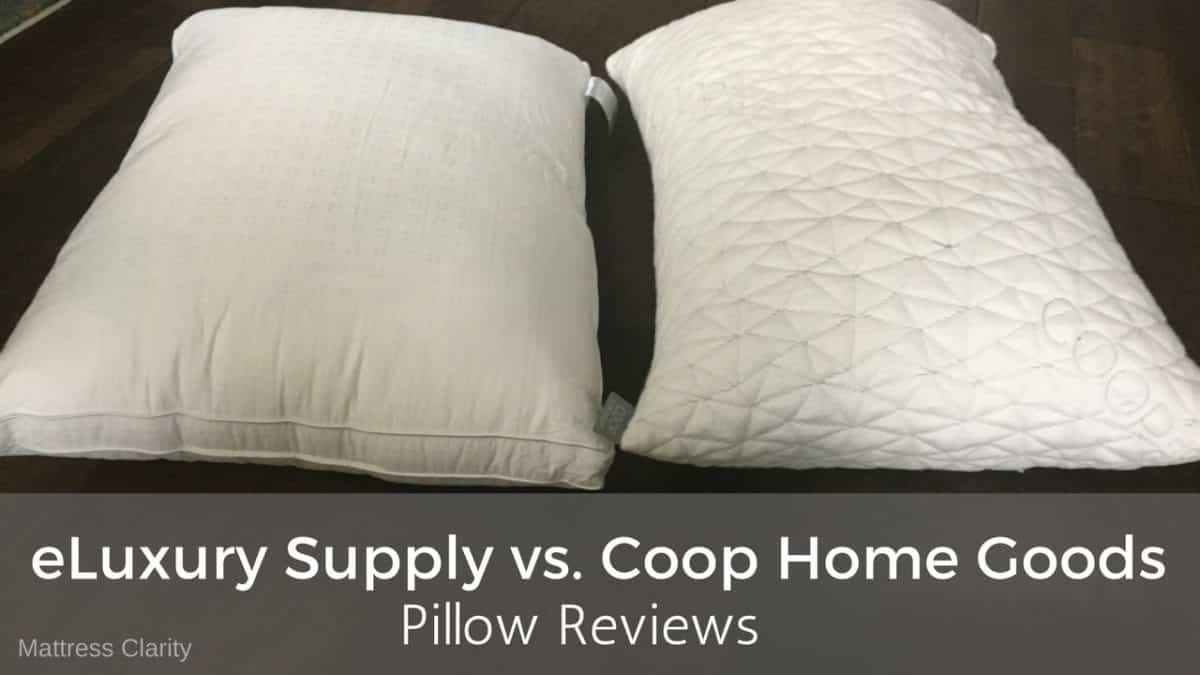 eLuxury Supply vs Coop Home Goods Pillow
