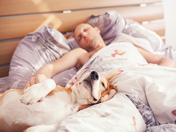 man asleep with dog in bed