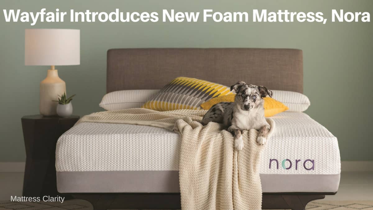 Wayfair on sale nora mattress