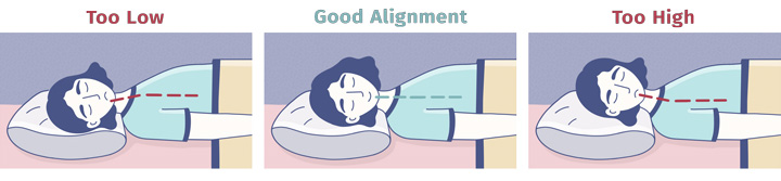 Good alignment for back sleepers