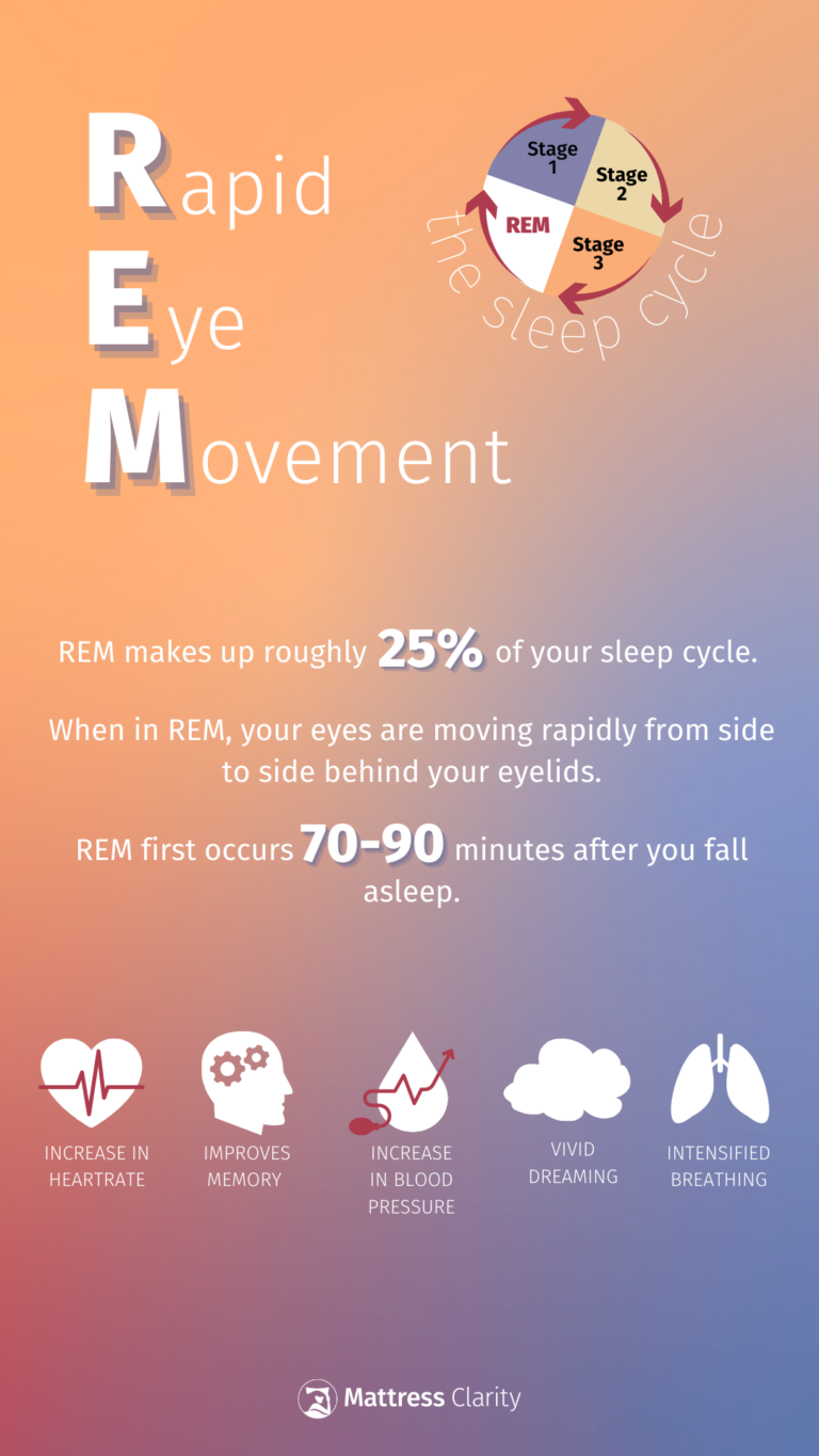 What Is REM Sleep? (2024) Mattress Clarity