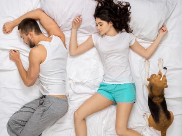 A couple and their dog lie in bed.