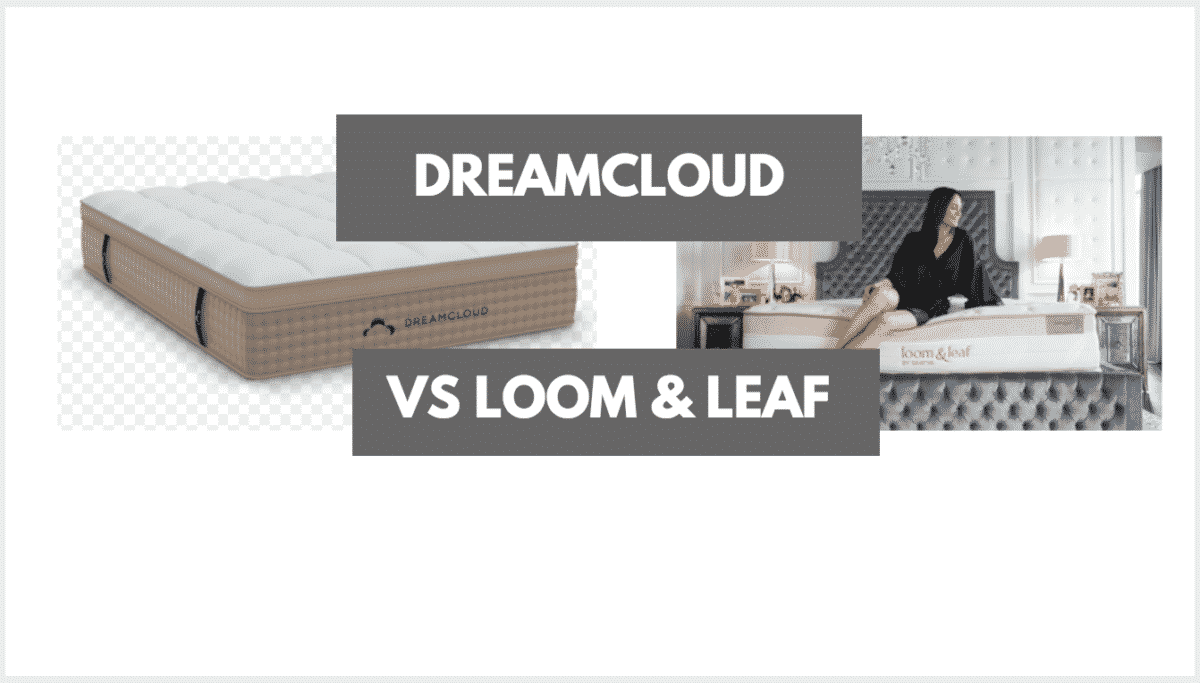 DreamCloud Premier vs Loom & Leaf (2024) Mattress Clarity