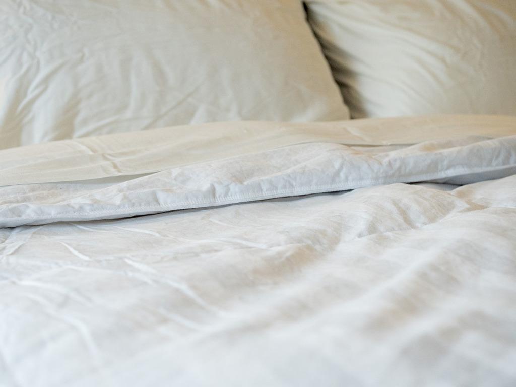 Pacific Coast Down Comforter Review (2024) Mattress Clarity