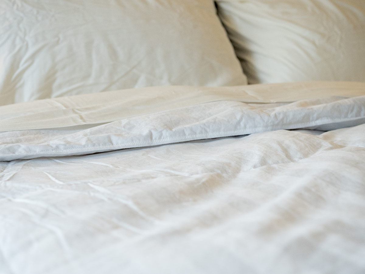 Pacific Coast Down Comforter Review Mattress Clarity