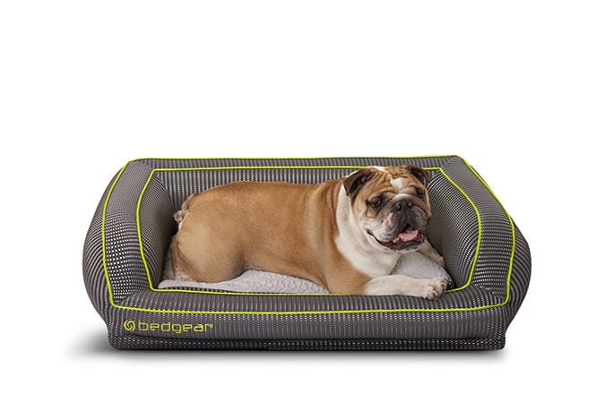Tempurpedic Mattress Reviews >> BEDGEAR Debuts Performance Pet Bed Tempurpedic Mattress Reviews >> BEDGEAR Debuts Performance Pet Bed