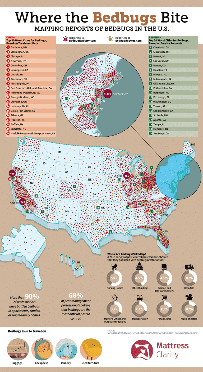 Where The Bedbugs Bite Mapping Reports Of Bedbugs In The U S 2025 Where The Bedbugs Bite 4 65per 768x1405 