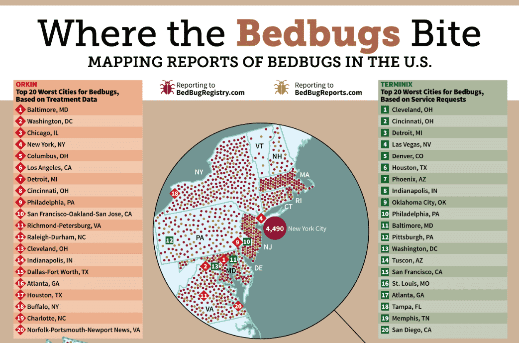 Bed Bug Infestation Chart