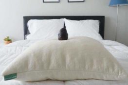 Avocado Pillow Avocado Pillow