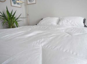 Pacific Coast Down Comforter Review Mattress Clarity