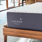 Cocoon Cocoon