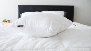 Purple Plush Pillow