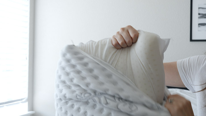 beautyrest talalay latex plush support pillow