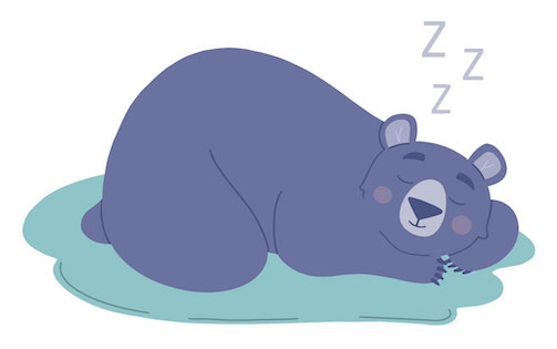 Bear hibernating