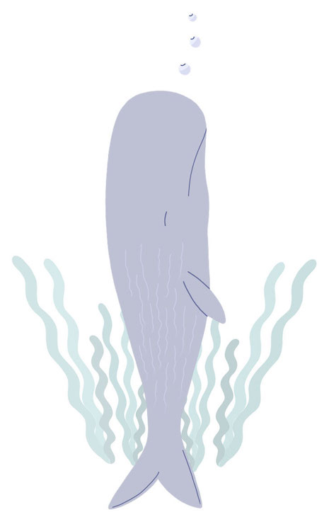 Sperm whales sleep vertically 