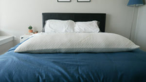 Allerease Hypoallergenic Cotton Body Pillow Review Mattress Clarity