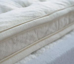 Birch Plush Organic Mattress Topper